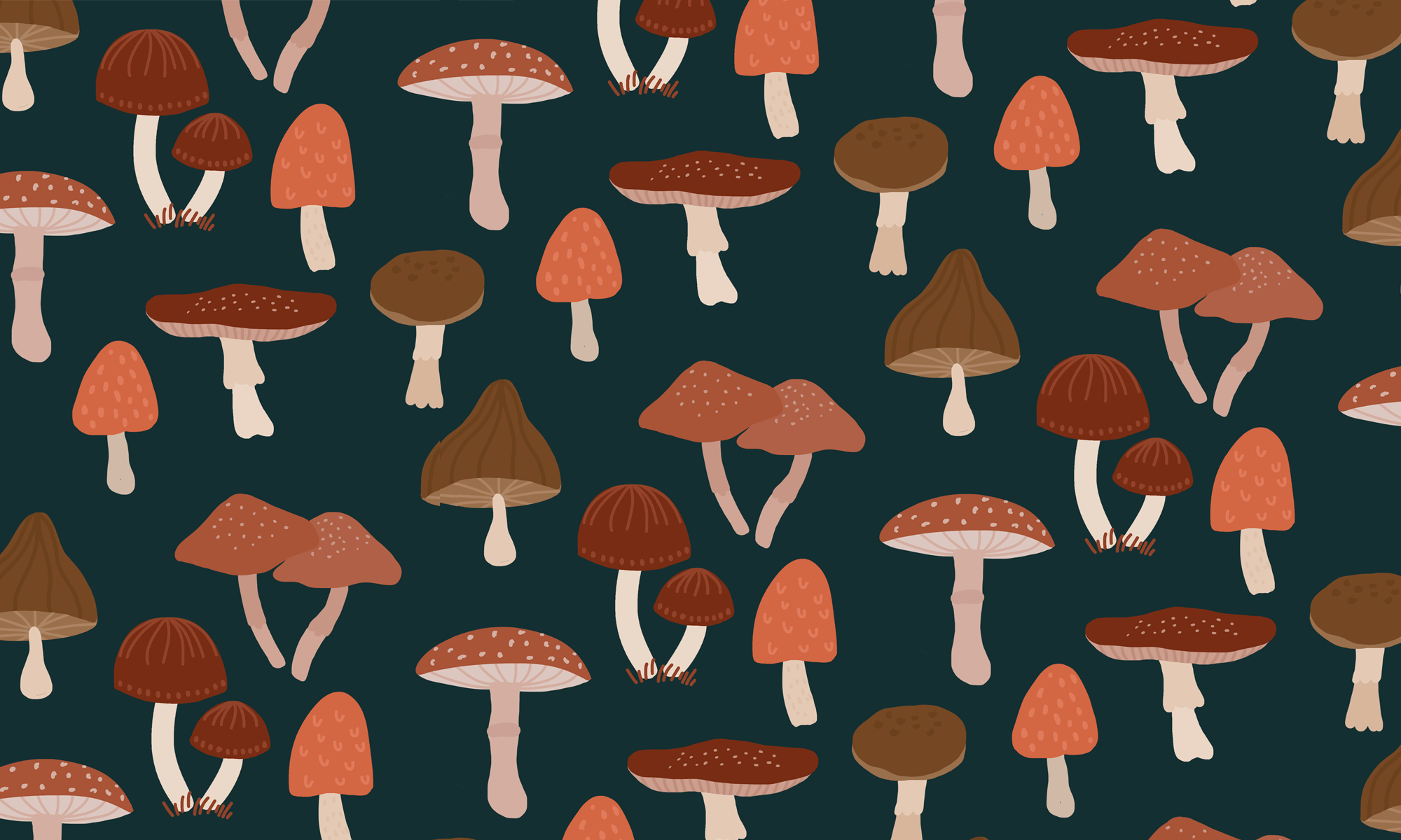paddenstoel-desktop-achtergrond